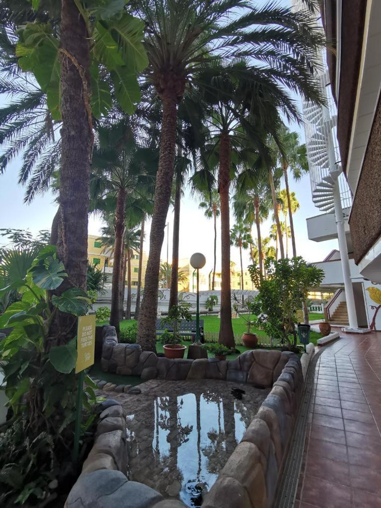 Vanilla Milkshake Apartment Playa del Ingles  Dış mekan fotoğraf